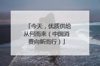 今天，优质供给从何而来（中国消费向新而行）