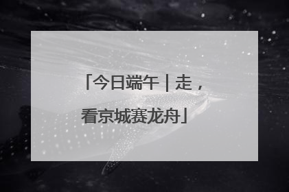 今日端午｜走，看京城赛龙舟