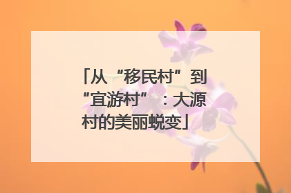 从“移民村”到“宜游村”：大源村的美丽蜕变