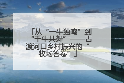 从“一牛独鸣”到“千牛共舞”——古渡河口乡村振兴的“牧场答卷”