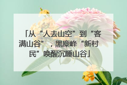 从“人去山空”到“客满山谷”，黑麋峰“新村民”唤醒沉睡山谷