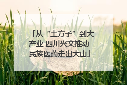 从“土方子”到大产业 四川兴文推动民族医药走出大山