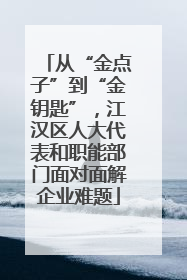 从“金点子”到“金钥匙”，江汉区人大代表和职能部门面对面解企业难题