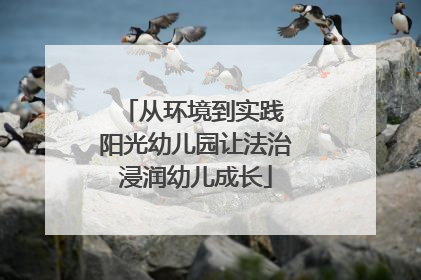 从环境到实践 阳光幼儿园让法治浸润幼儿成长