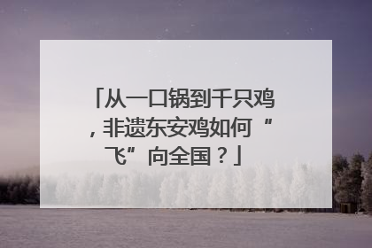 从一口锅到千只鸡，非遗东安鸡如何“飞”向全国？