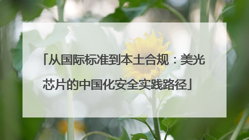 从国际标准到本土合规：美光芯片的中国化安全实践路径