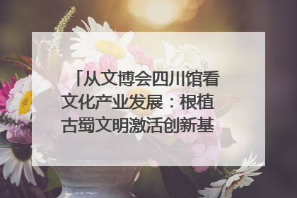 从文博会四川馆看文化产业发展：根植古蜀文明激活创新基因｜文博向“新”