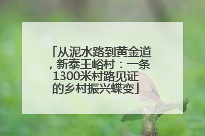 从泥水路到黄金道，新泰王峪村：一条1300米村路见证的乡村振兴蝶变