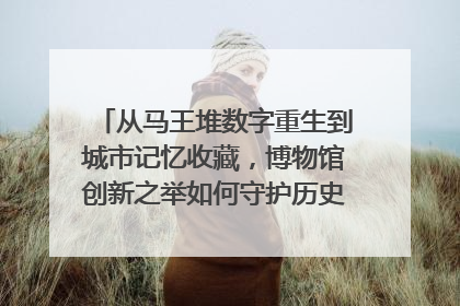 从马王堆数字重生到城市记忆收藏，博物馆创新之举如何守护历史、连接未来？