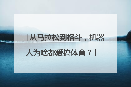 从马拉松到格斗，机器人为啥都爱搞体育？