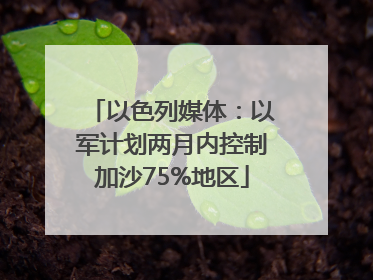 以色列媒体：以军计划两月内控制加沙75%地区