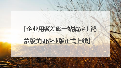 企业用餐差旅一站搞定！鸿蒙版美团企业版正式上线