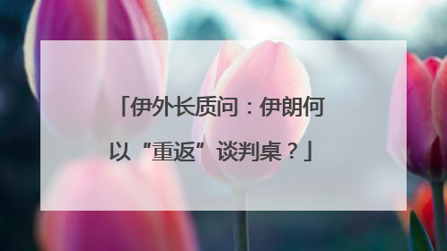 伊外长质问：伊朗何以“重返”谈判桌？