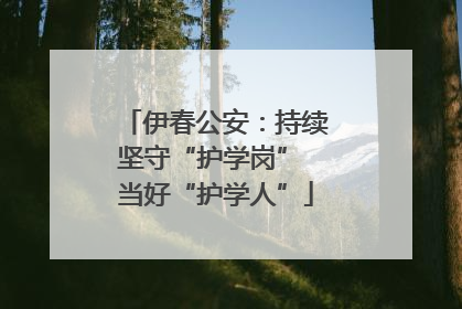 伊春公安：持续坚守“护学岗” 当好“护学人”