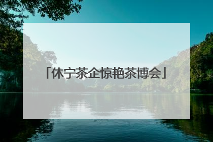 休宁茶企惊艳茶博会