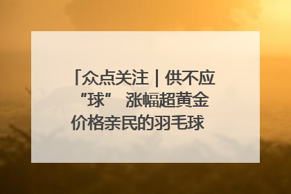 众点关注｜供不应“球” 涨幅超黄金 价格亲民的羽毛球为何身价飞涨？