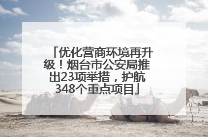 优化营商环境再升级！烟台市公安局推出23项举措，护航348个重点项目
