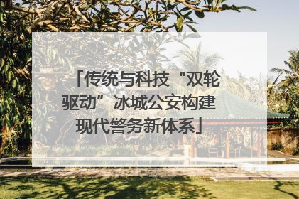 传统与科技“双轮驱动”冰城公安构建现代警务新体系