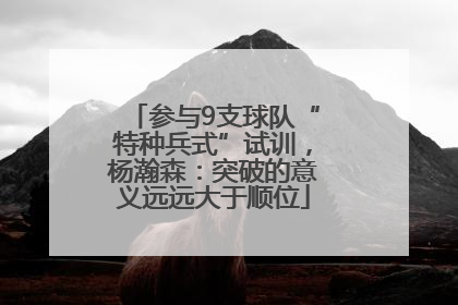 参与9支球队“特种兵式”试训，杨瀚森：突破的意义远远大于顺位