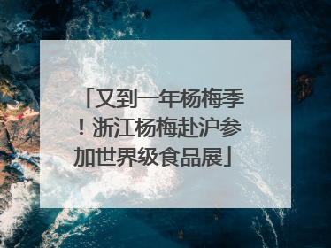 又到一年杨梅季！浙江杨梅赴沪参加世界级食品展