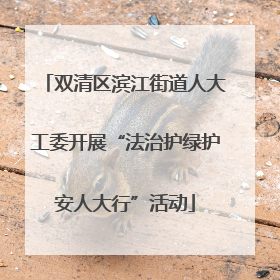 双清区滨江街道人大工委开展“法治护绿护安人大行”活动