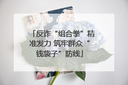 反诈“组合拳”精准发力 筑牢群众“钱袋子”防线