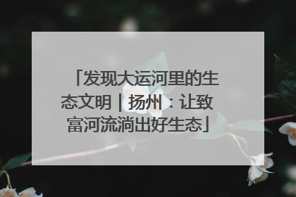发现大运河里的生态文明｜扬州：让致富河流淌出好生态