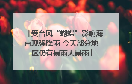 受台风“蝴蝶”影响海南现强降雨 今天部分地区仍有暴雨大暴雨