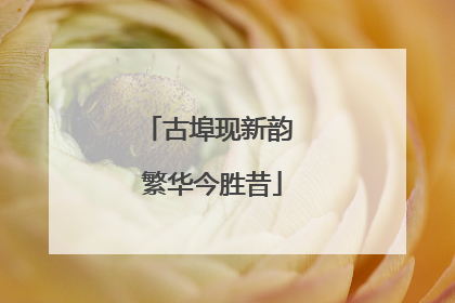 古埠现新韵 繁华今胜昔