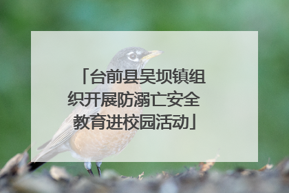 台前县吴坝镇组织开展防溺亡安全教育进校园活动