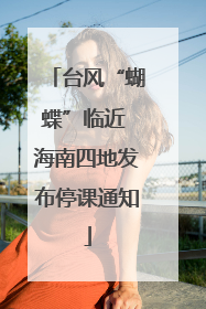 台风“蝴蝶”临近 海南四地发布停课通知