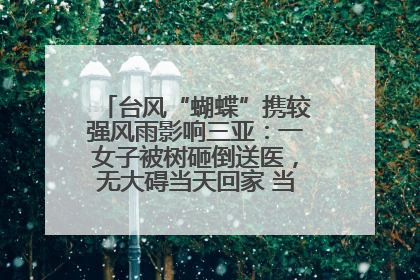台风“蝴蝶”携较强风雨影响三亚：一女子被树砸倒送医，无大碍当天回家 当地已紧急清障