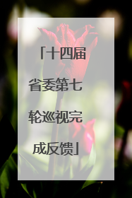 十四届省委第七轮巡视完成反馈