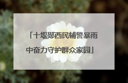 十堰郧西民辅警暴雨中奋力守护群众家园