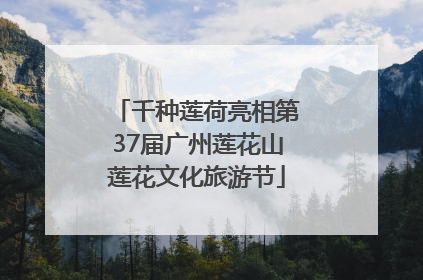 千种莲荷亮相第37届广州莲花山莲花文化旅游节