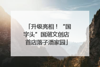 升级亮相！“国字头”国潮文创店首店落子潘家园