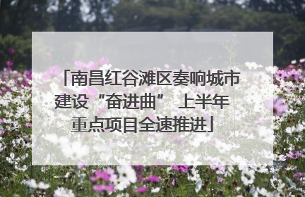 南昌红谷滩区奏响城市建设“奋进曲” 上半年重点项目全速推进