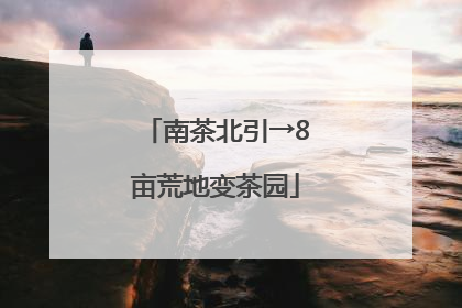 南茶北引→8亩荒地变茶园