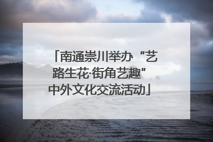 南通崇川举办“艺路生花·街角艺趣”中外文化交流活动
