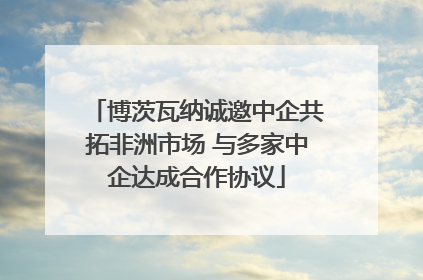 博茨瓦纳诚邀中企共拓非洲市场 与多家中企达成合作协议