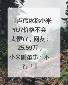 卢伟冰称小米YU7价格不会太便宜，网友：25.59万，小米副董事：不行！