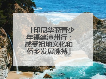 印尼华裔青少年福建漳州行：感受祖地文化和侨乡发展脉搏
