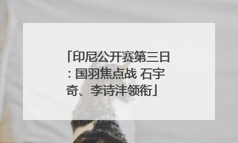 印尼公开赛第三日：国羽焦点战 石宇奇、李诗沣领衔