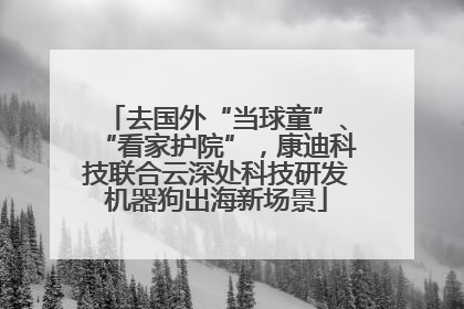 去国外“当球童”、“看家护院”，康迪科技联合云深处科技研发机器狗出海新场景