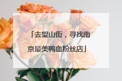 去望山街，寻找南京最美鸭血粉丝店