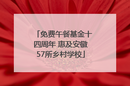 免费午餐基金十四周年 惠及安徽57所乡村学校
