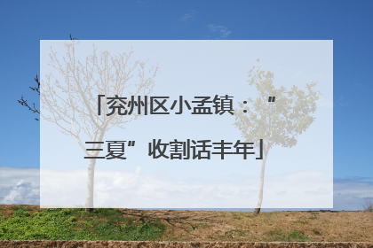 兖州区小孟镇：“三夏”收割话丰年