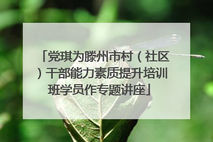 党琪为滕州市村（社区）干部能力素质提升培训班学员作专题讲座