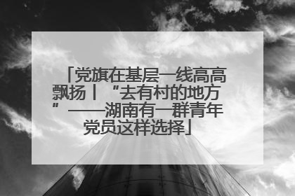 党旗在基层一线高高飘扬丨“去有村的地方”——湖南有一群青年党员这样选择