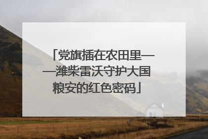 党旗插在农田里——潍柴雷沃守护大国粮安的红色密码